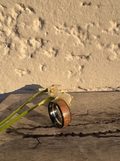 Ring (Abb.: Nuss)