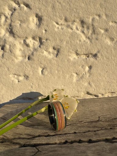 Ring (Abb.: Skateboard)